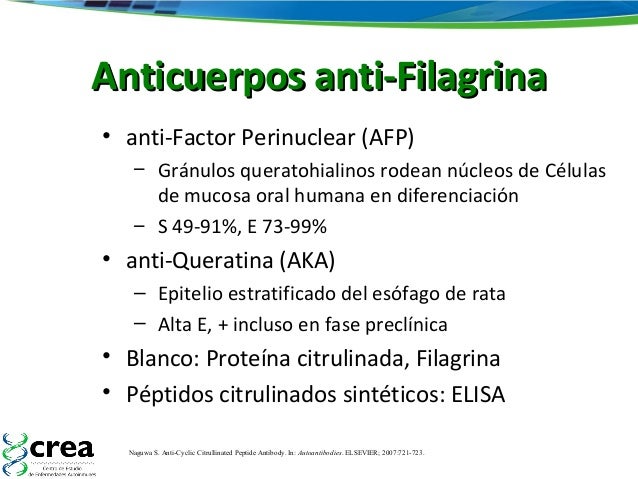 anticuerpos anti ccp